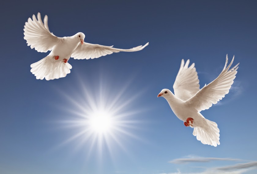 A Better Place Funeral - $3,079 Funerals | $889 Cremations - Main photo