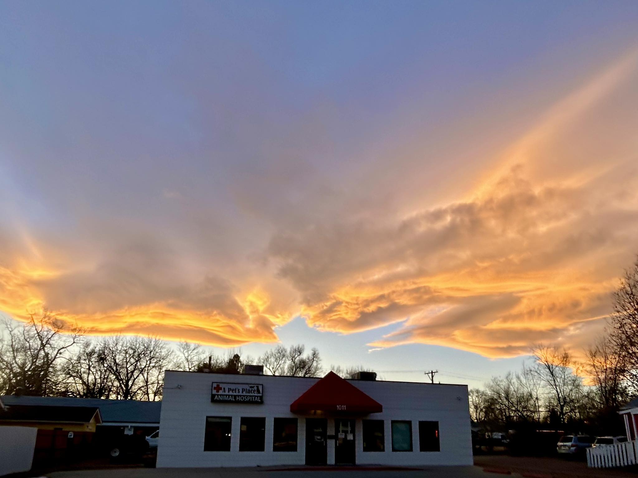 A Pet's Place Animal Hospital - Main photo