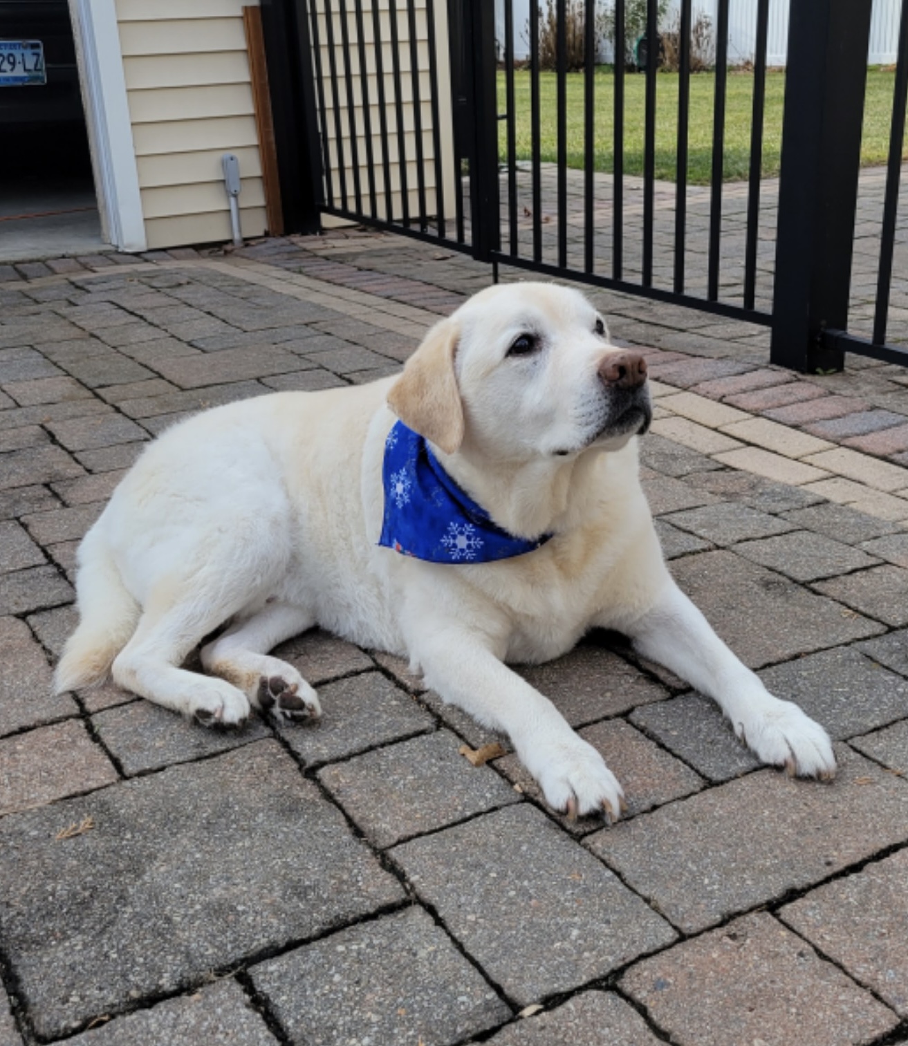 All Pets Crematory And Remembrance - Main photo