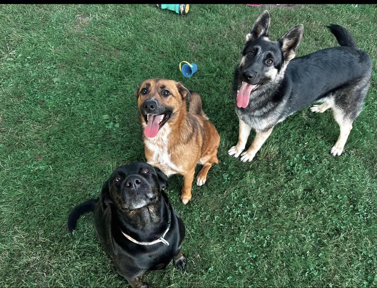 Almost Heaven Pet Cremations - Main photo