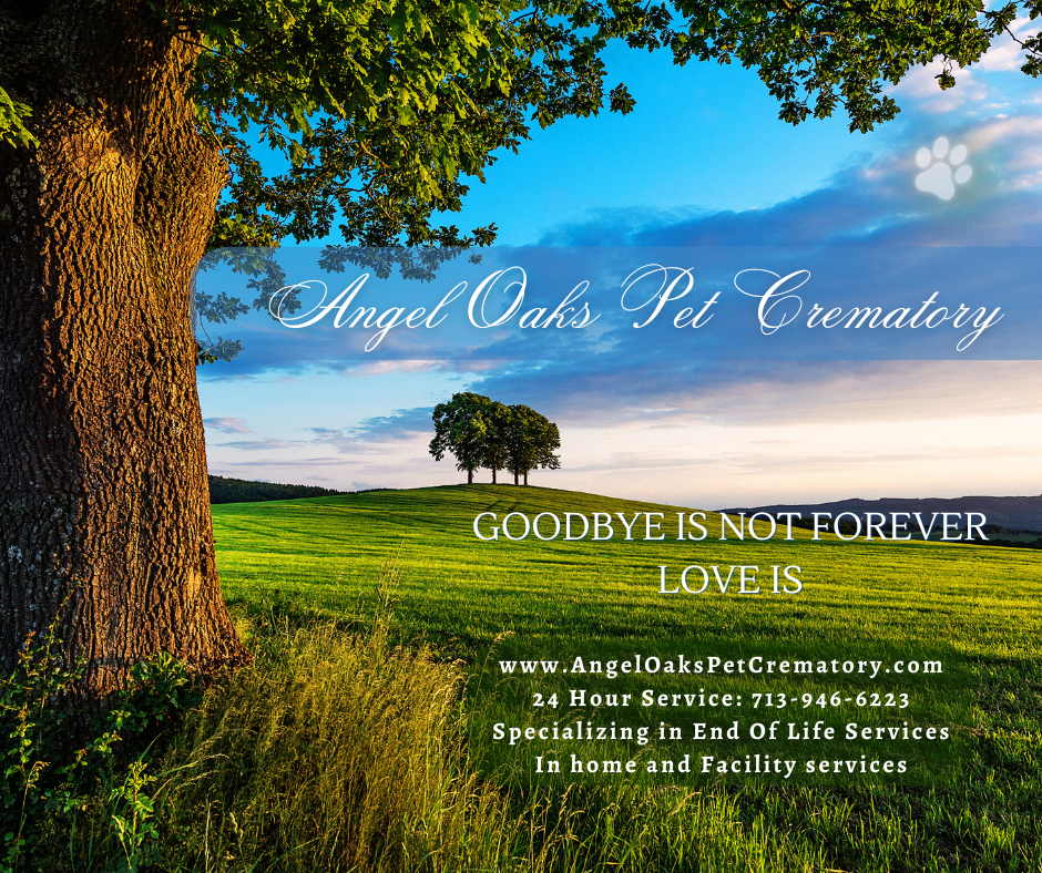 Angel Oaks Pet Crematory - Main photo