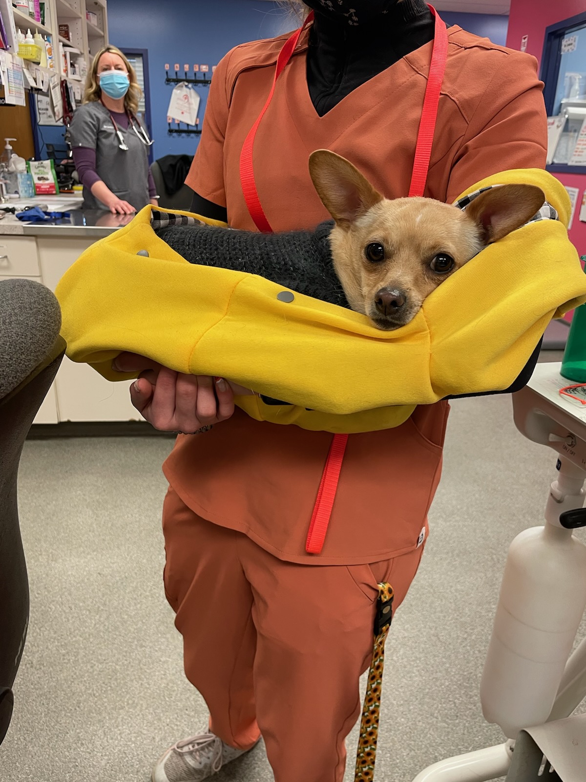 Animal Care Center, A Thrive Pet Healthcare Partner - Main photo