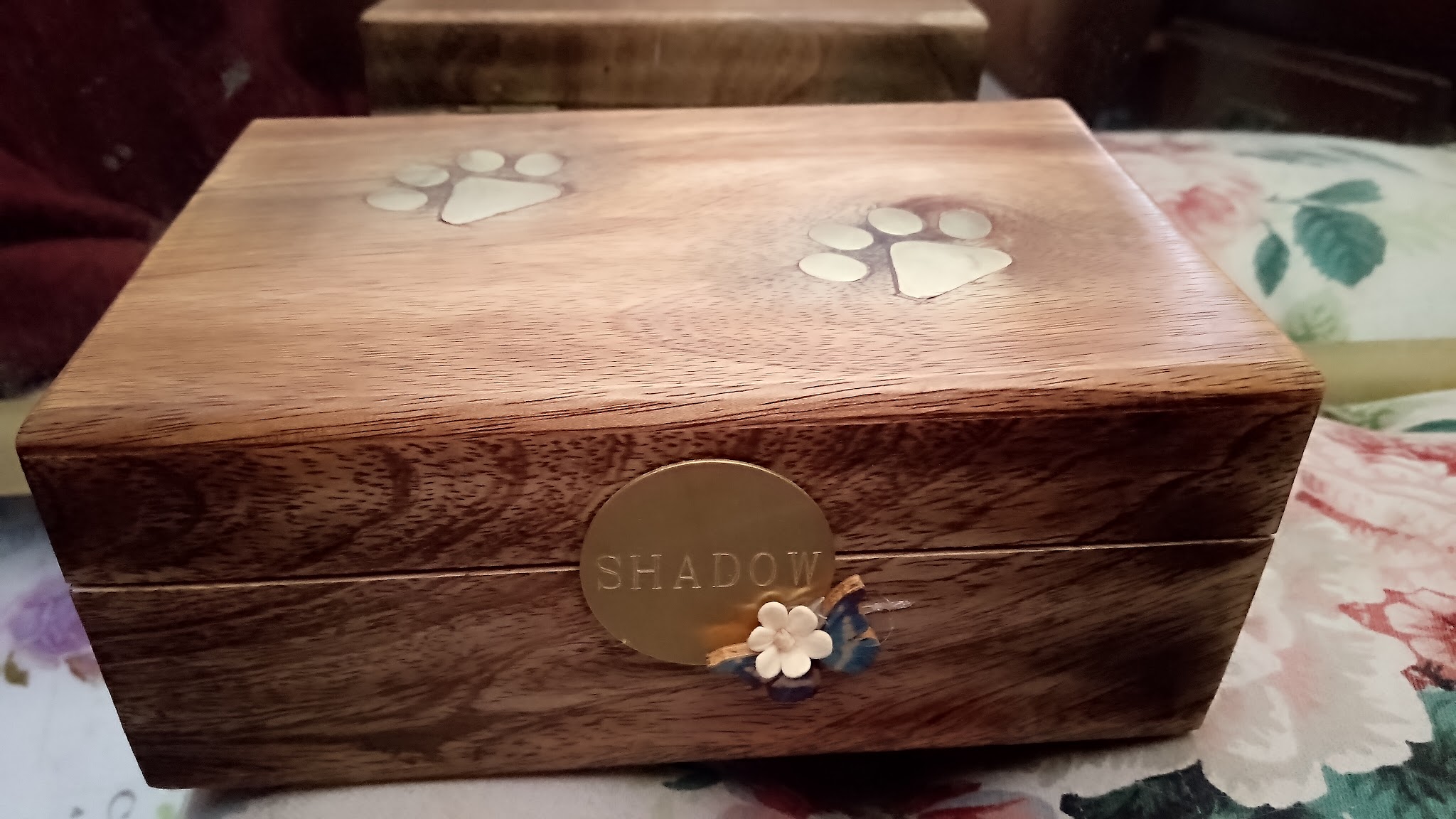 Ark All Animal Cremation - Main photo