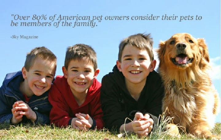 Bill's Pet Service & Cremation LLC - Main photo