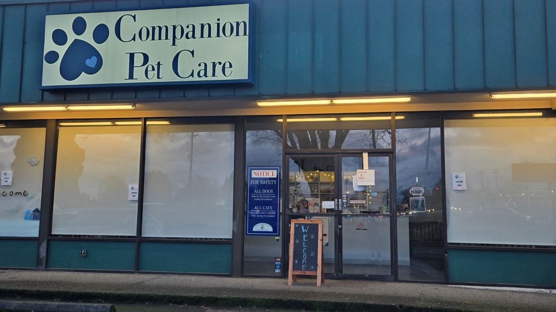 Companion Pet Care - Main photo