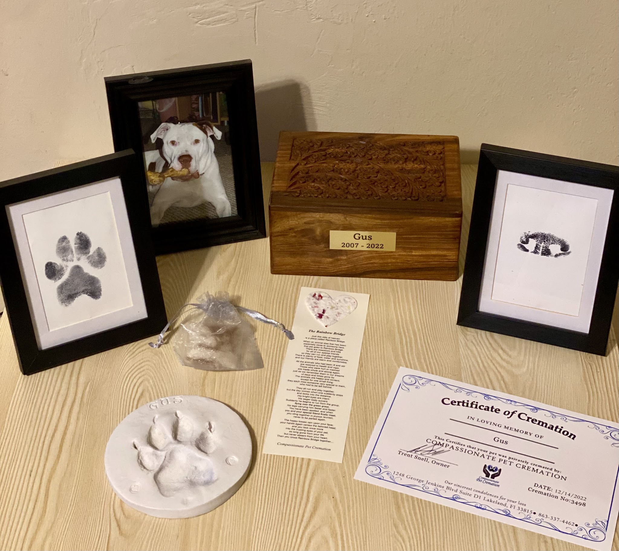 Compassionate Pet Cremation - Main photo
