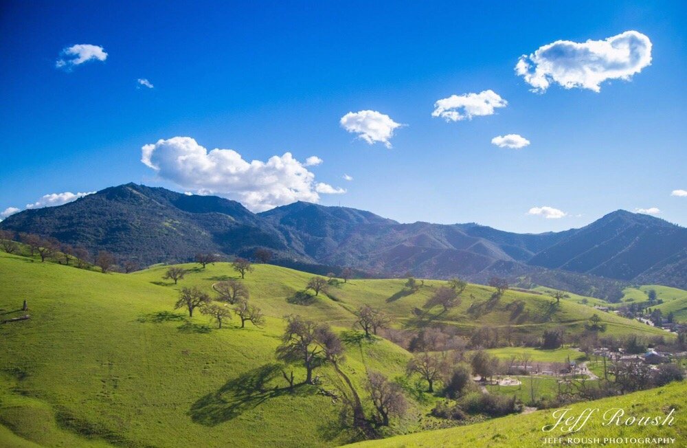 Diablo Valley Cremation & Funeral Services - Main photo