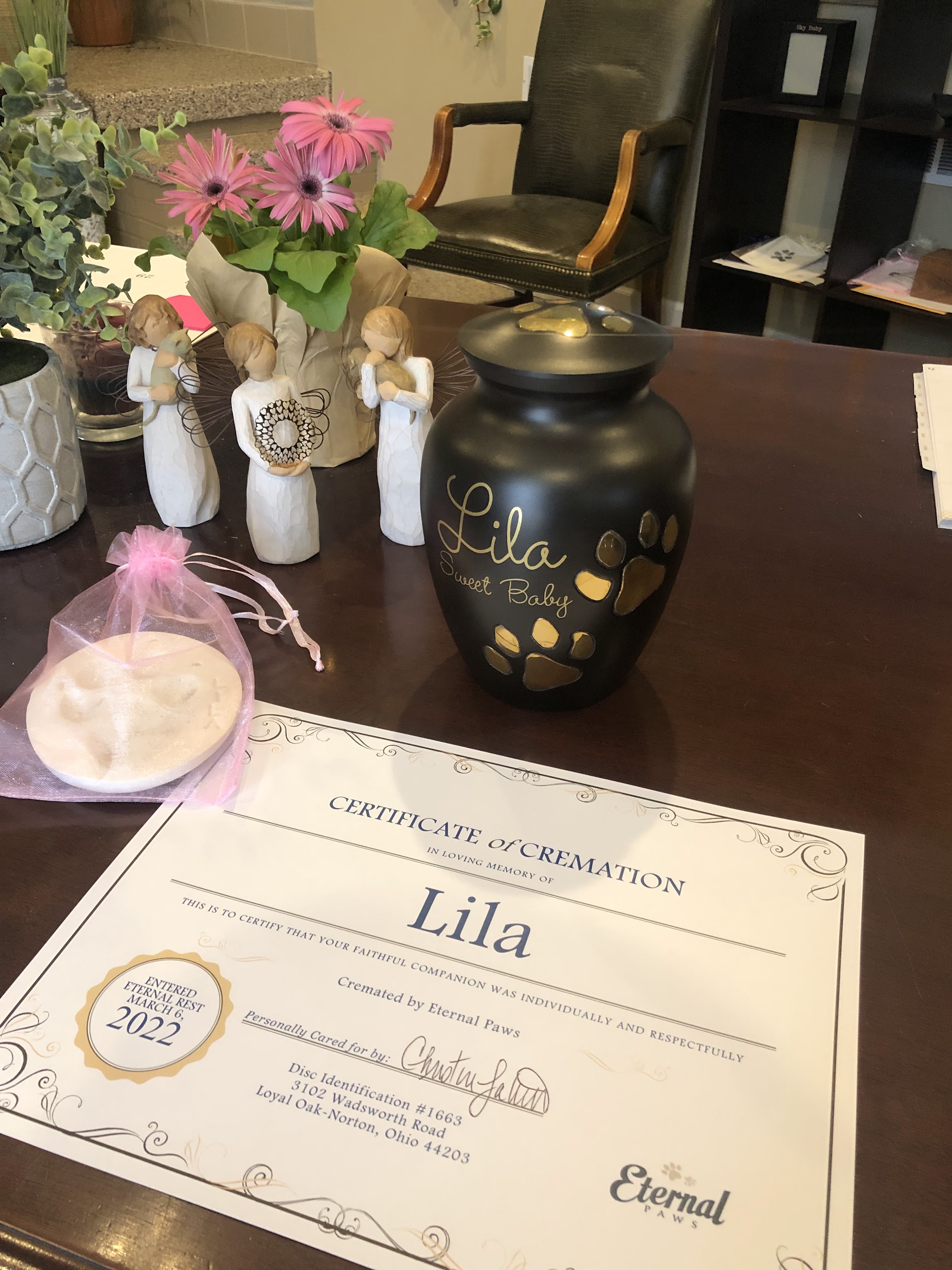 Eternal Paws Pet Cremation And Memorials - Main photo