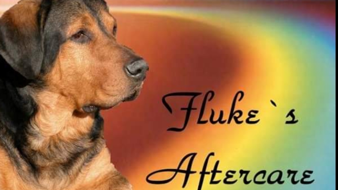 Fluke's Aftercare Pet Cremation - Main photo