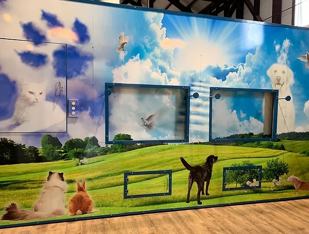 Furrever Friends Pet Crematory - Main photo