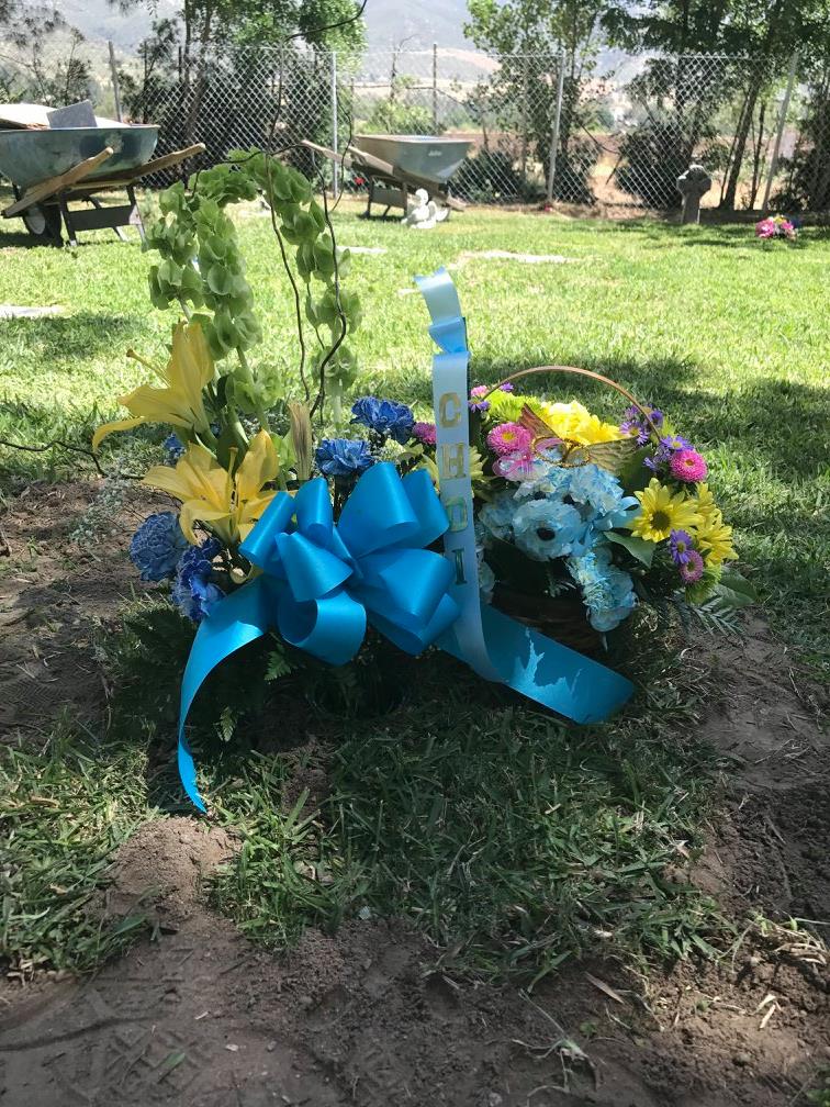 Gateway Pet Cemetery & Crematory - Main photo
