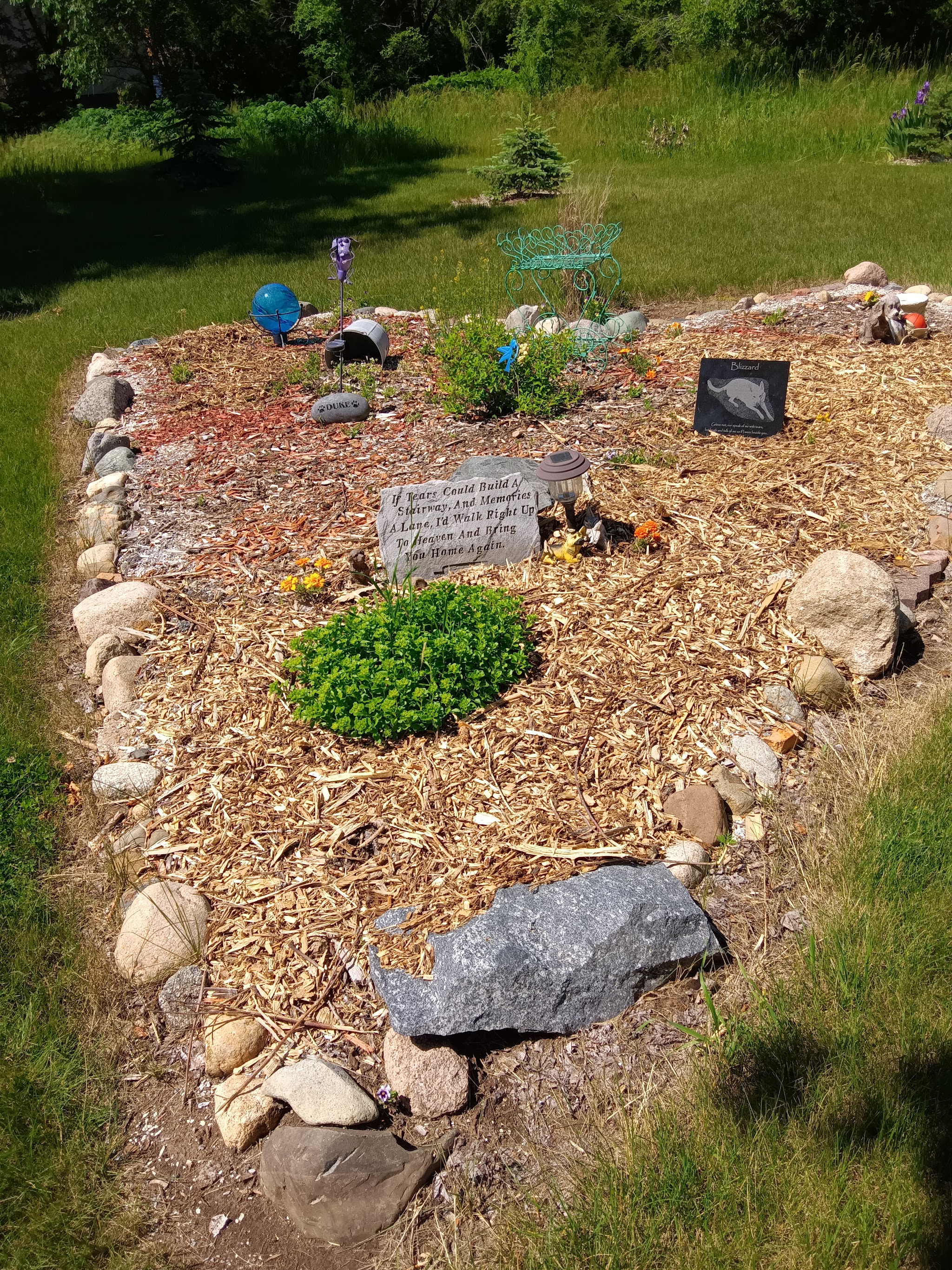Heavenly Paws Pet Cremation/ Euthanasia - Main photo