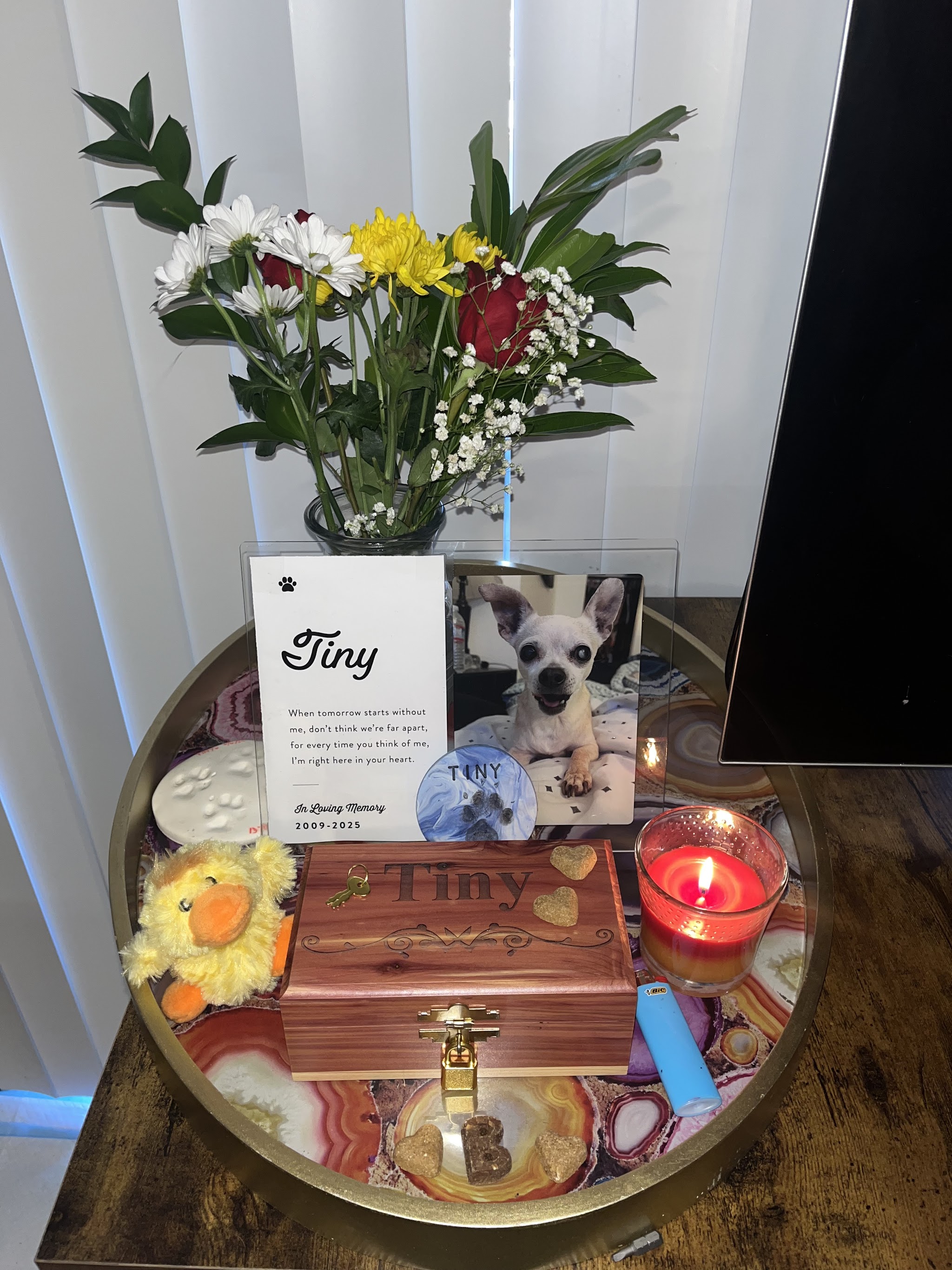 Koefran Pet Memorial Services - Main photo