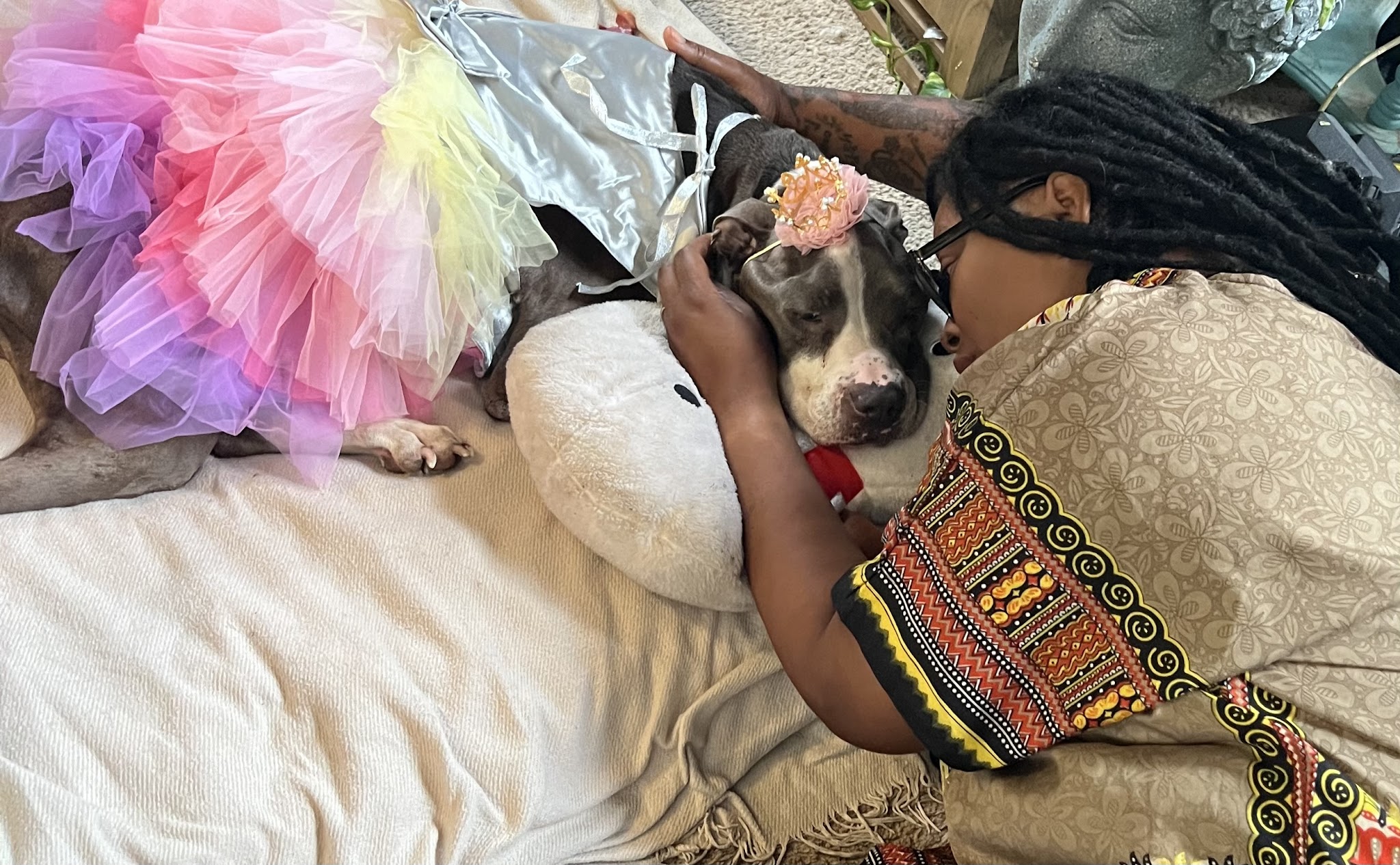 Last Kiss At Home Pet Euthanasia And Cremation Services - Main photo