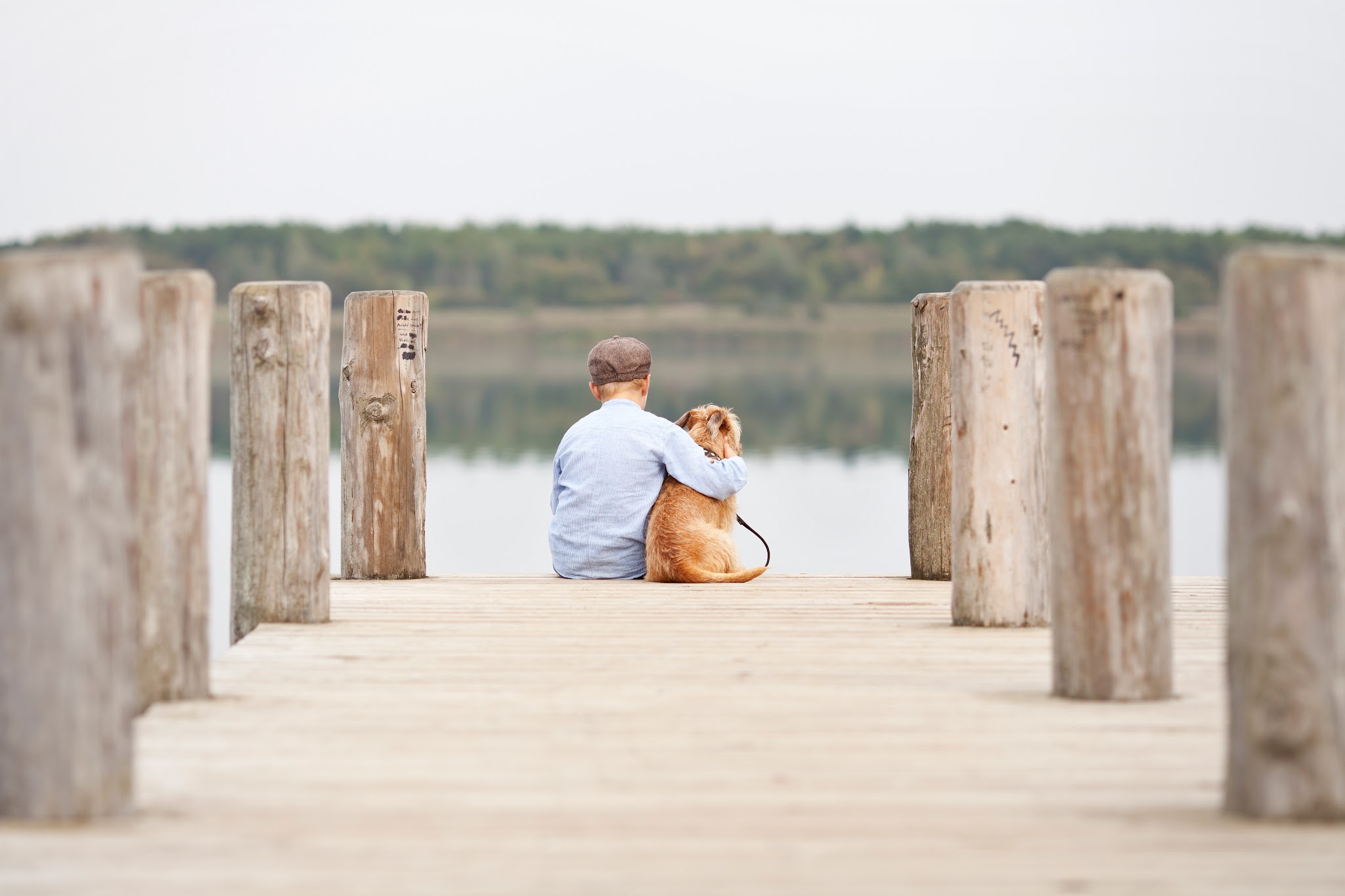 Life After Fetch Pet Cremation - Main photo