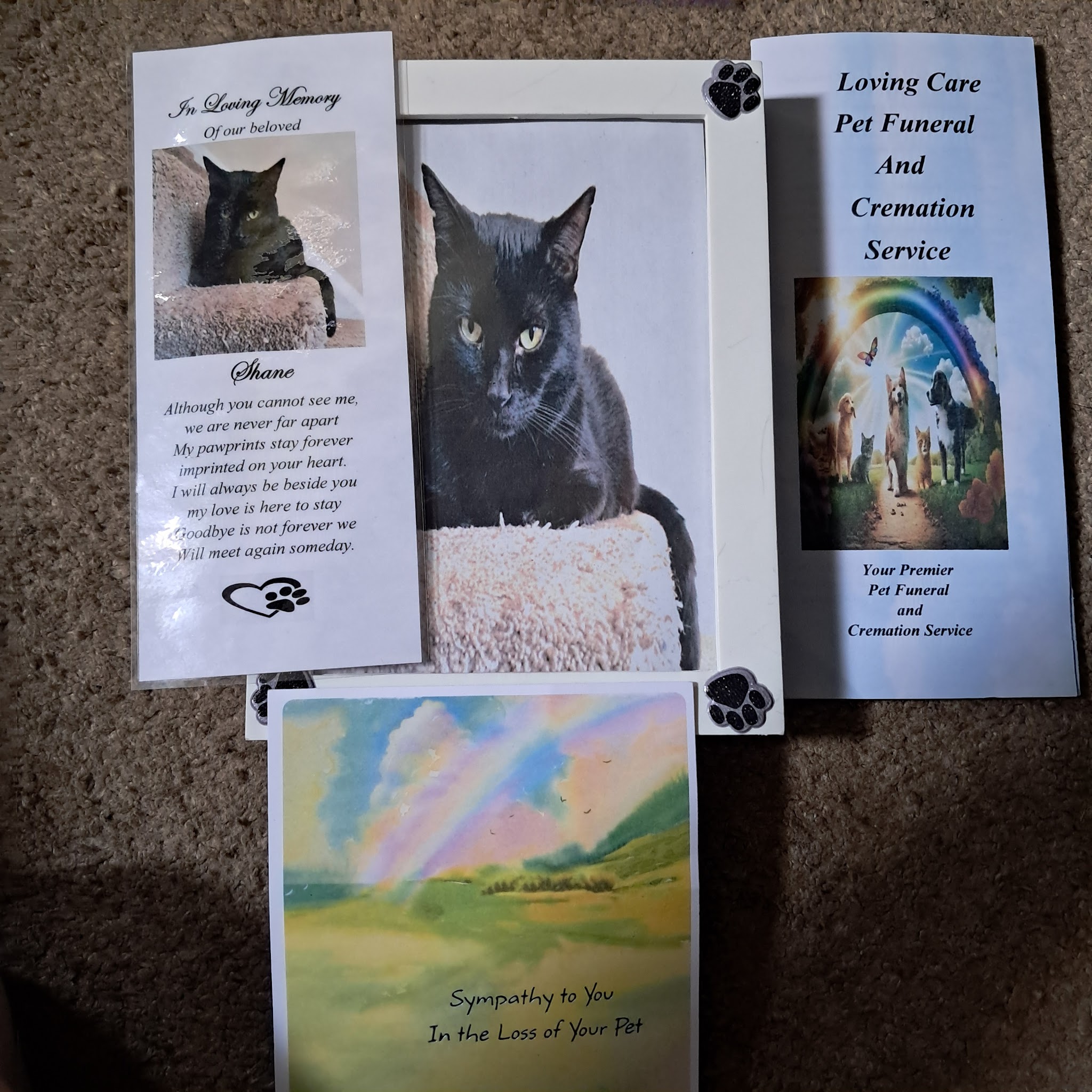 Loving Care Pet Funerals - Main photo