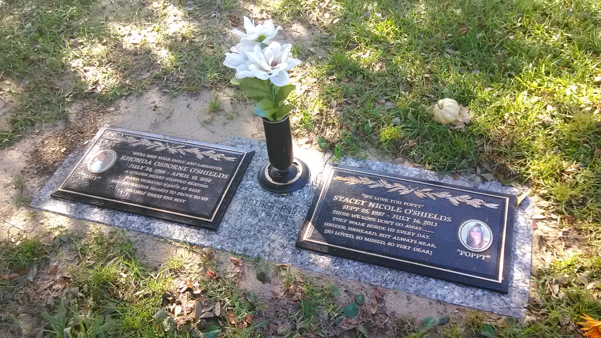 Loyal Companions Pet Cremation And Memorial, LLC - Main photo
