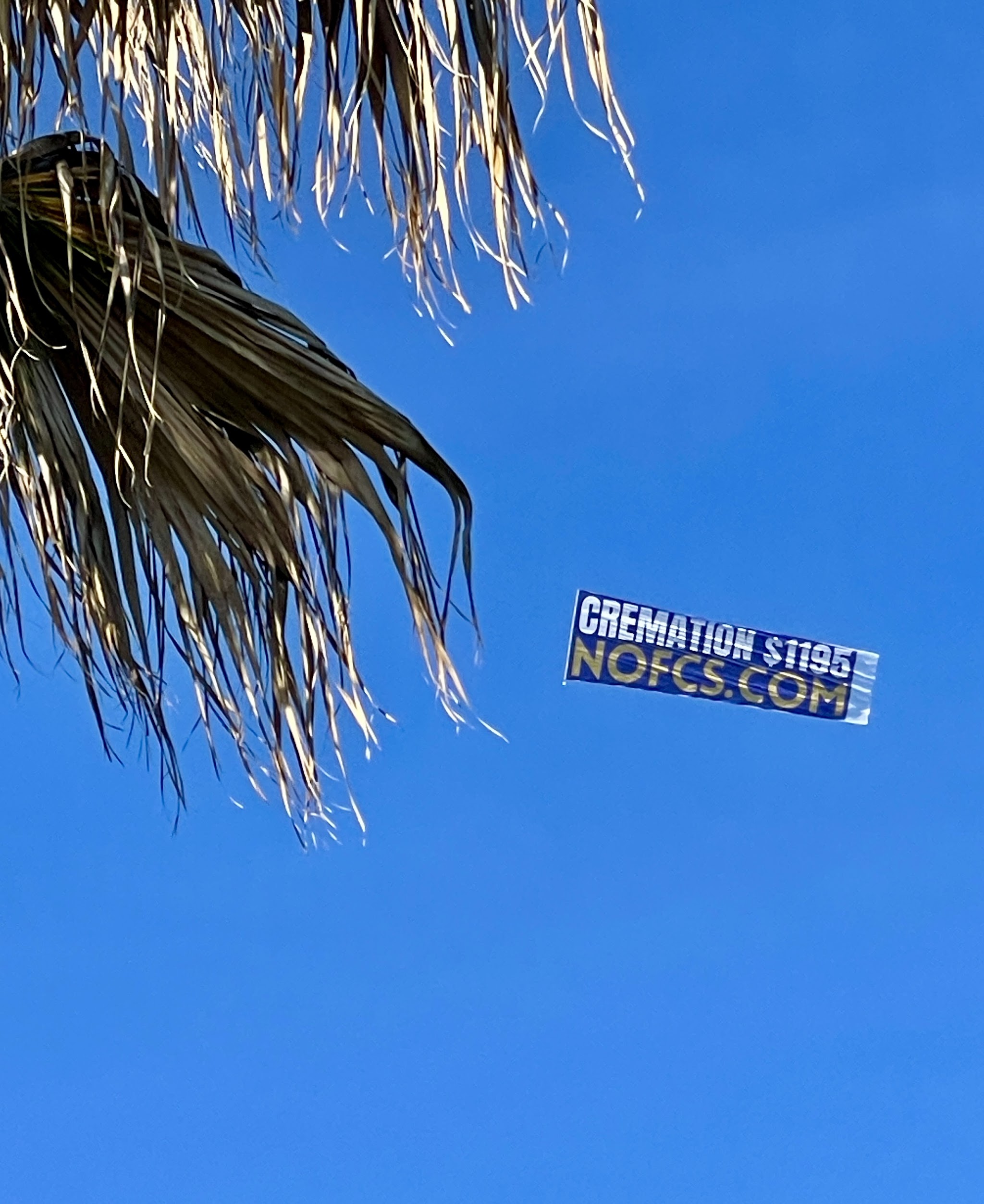 New Orleans Funeral & Cremation Service - Main photo
