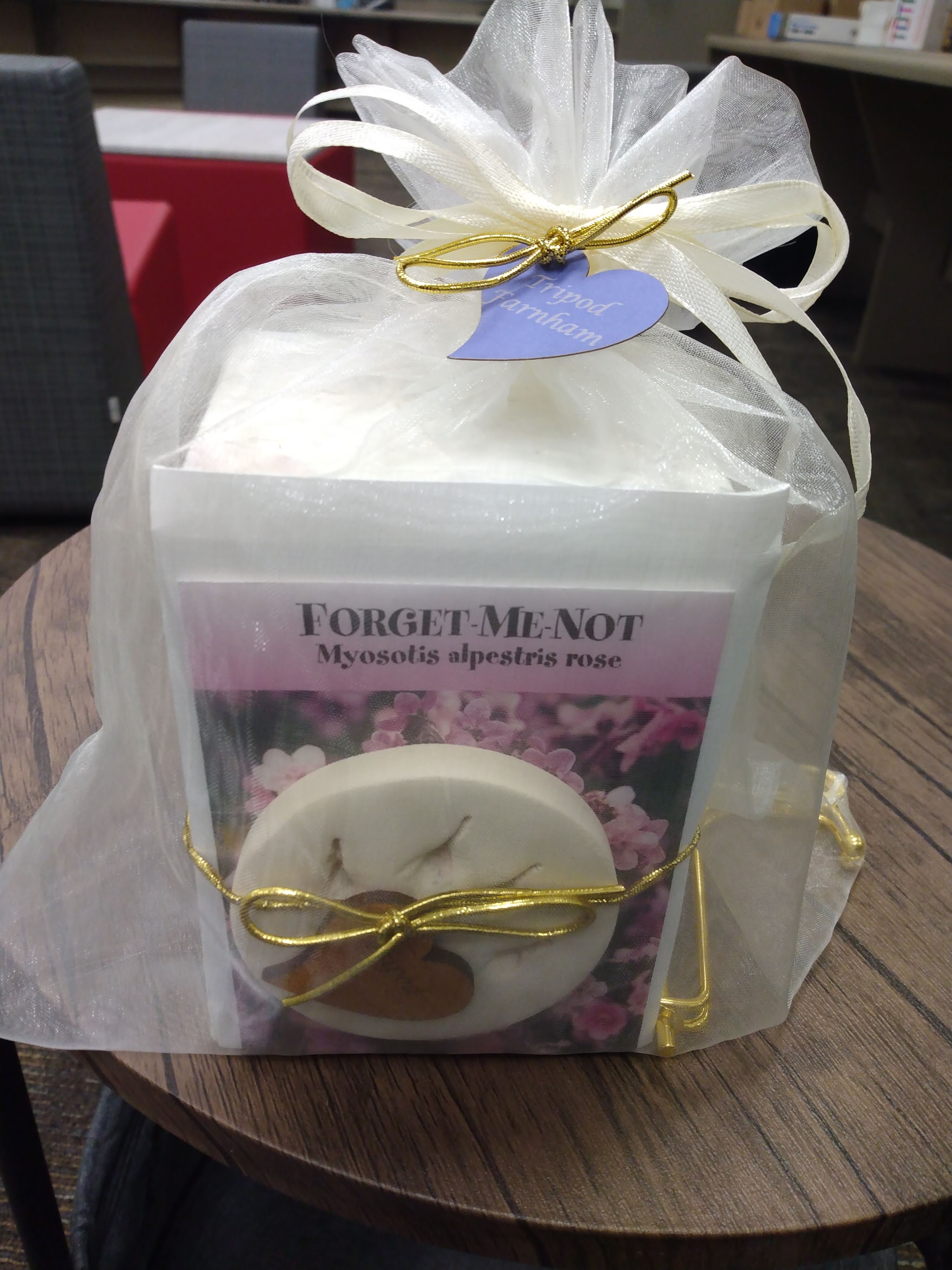Only Cremations For Pets, Inc. - Main photo