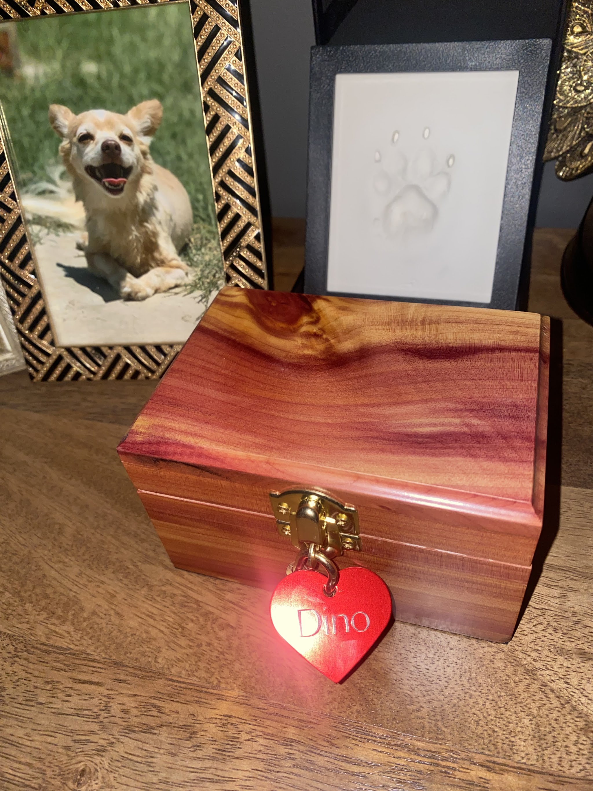 Pals - Pet & Animal Lovers Service - Main photo