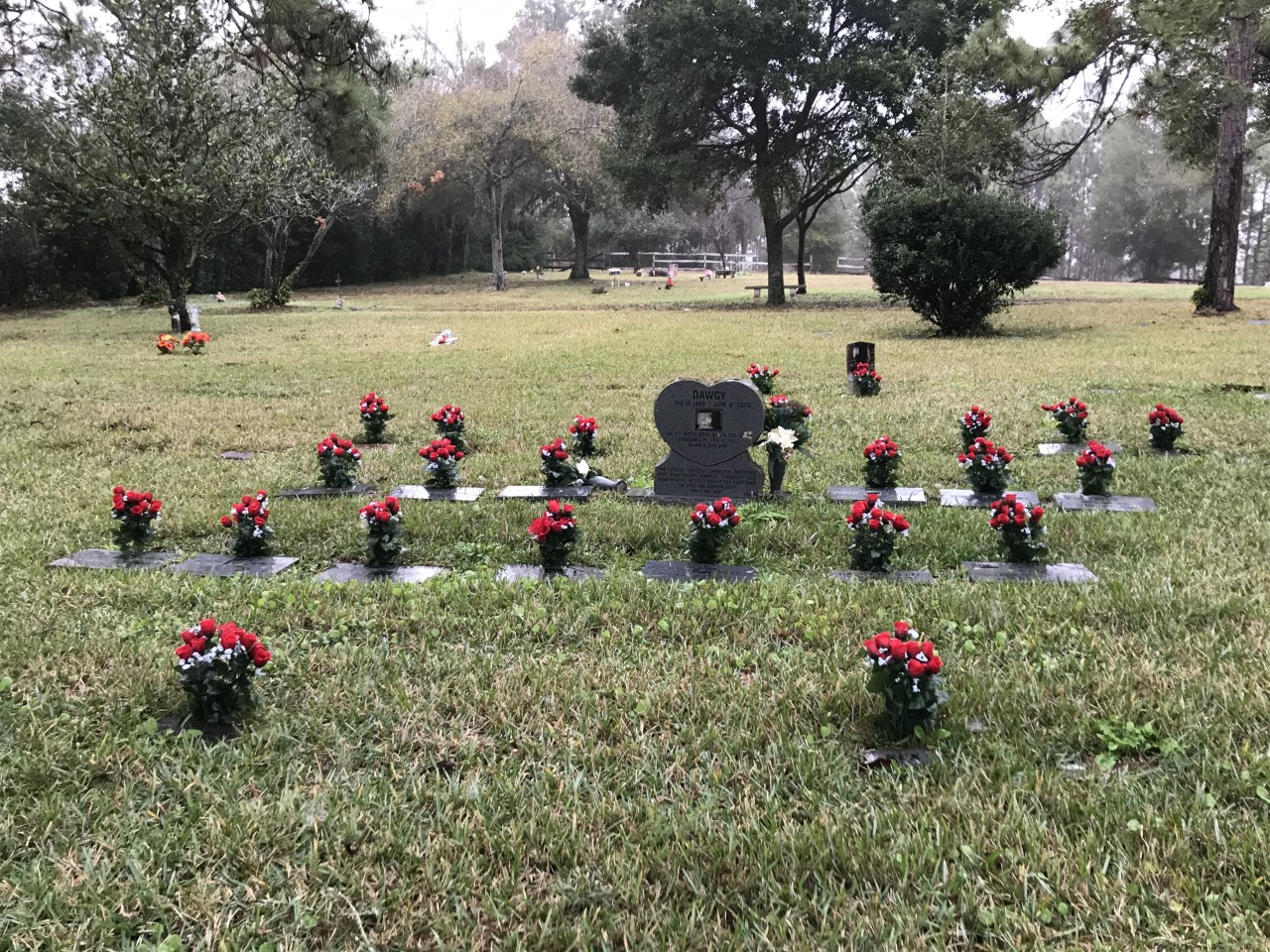 Pet Angel Memorial Center - Apopka, Fl - Main photo