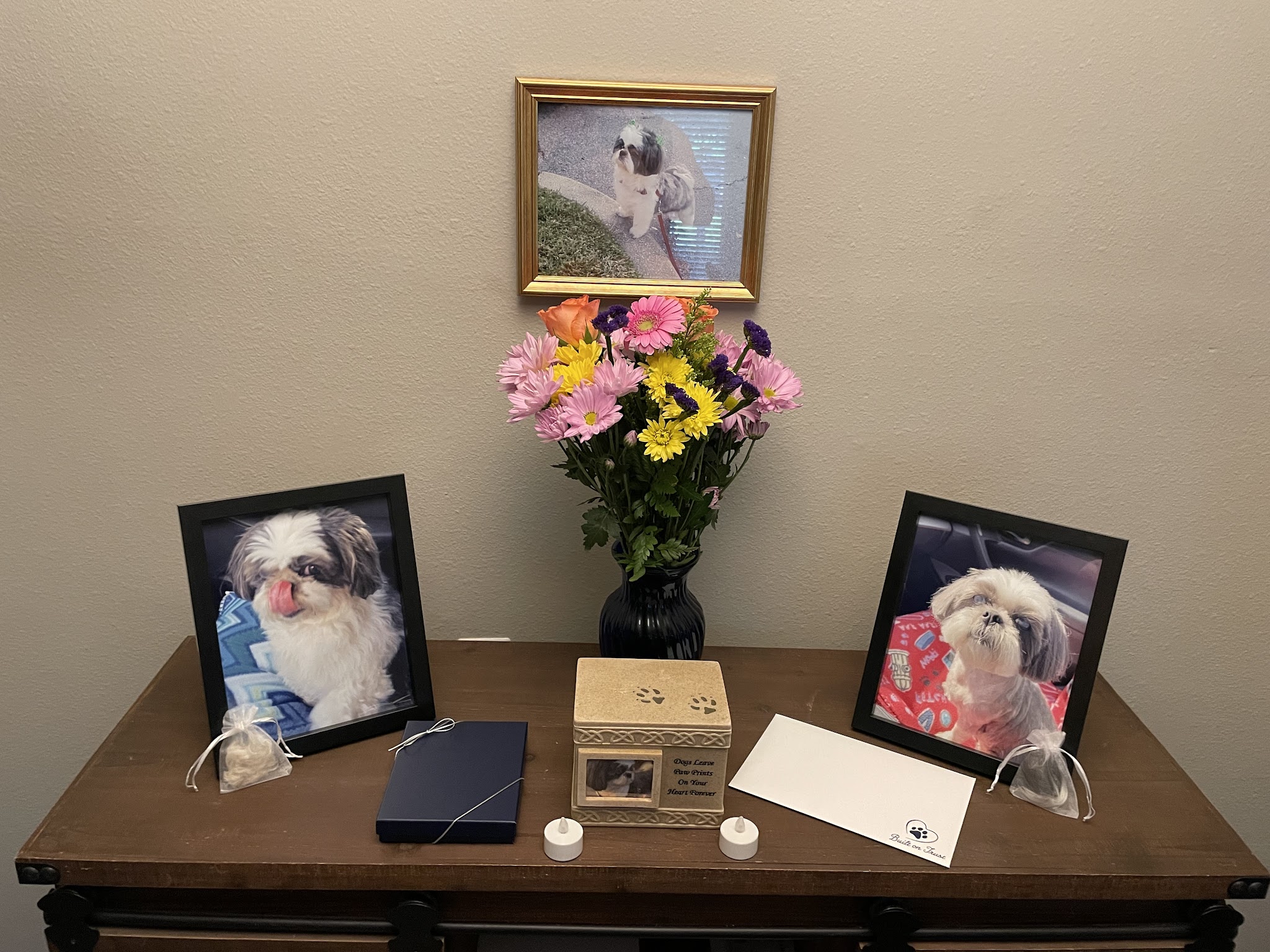 Pet Angel Memorial Center - Main photo