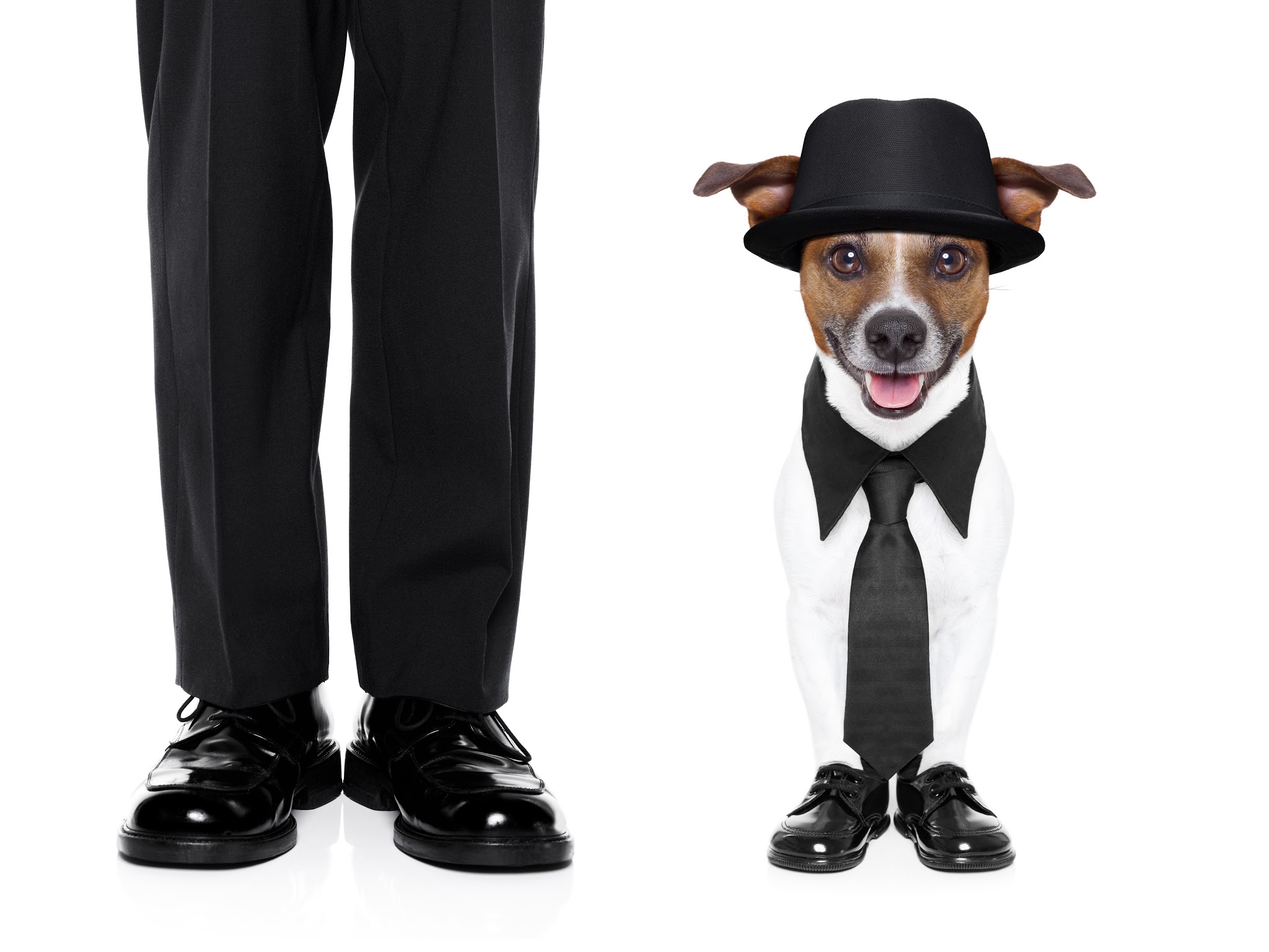 Pet Cremation Iowa Funeral Home & Cremation Care - Main photo
