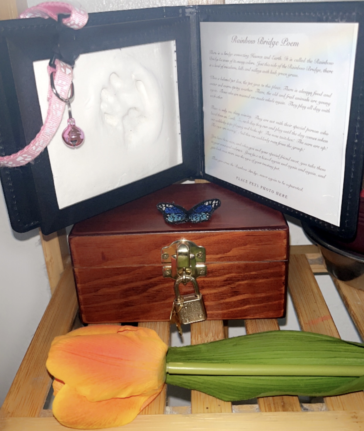 Pet Haven Cemetery & Crematory - Main photo