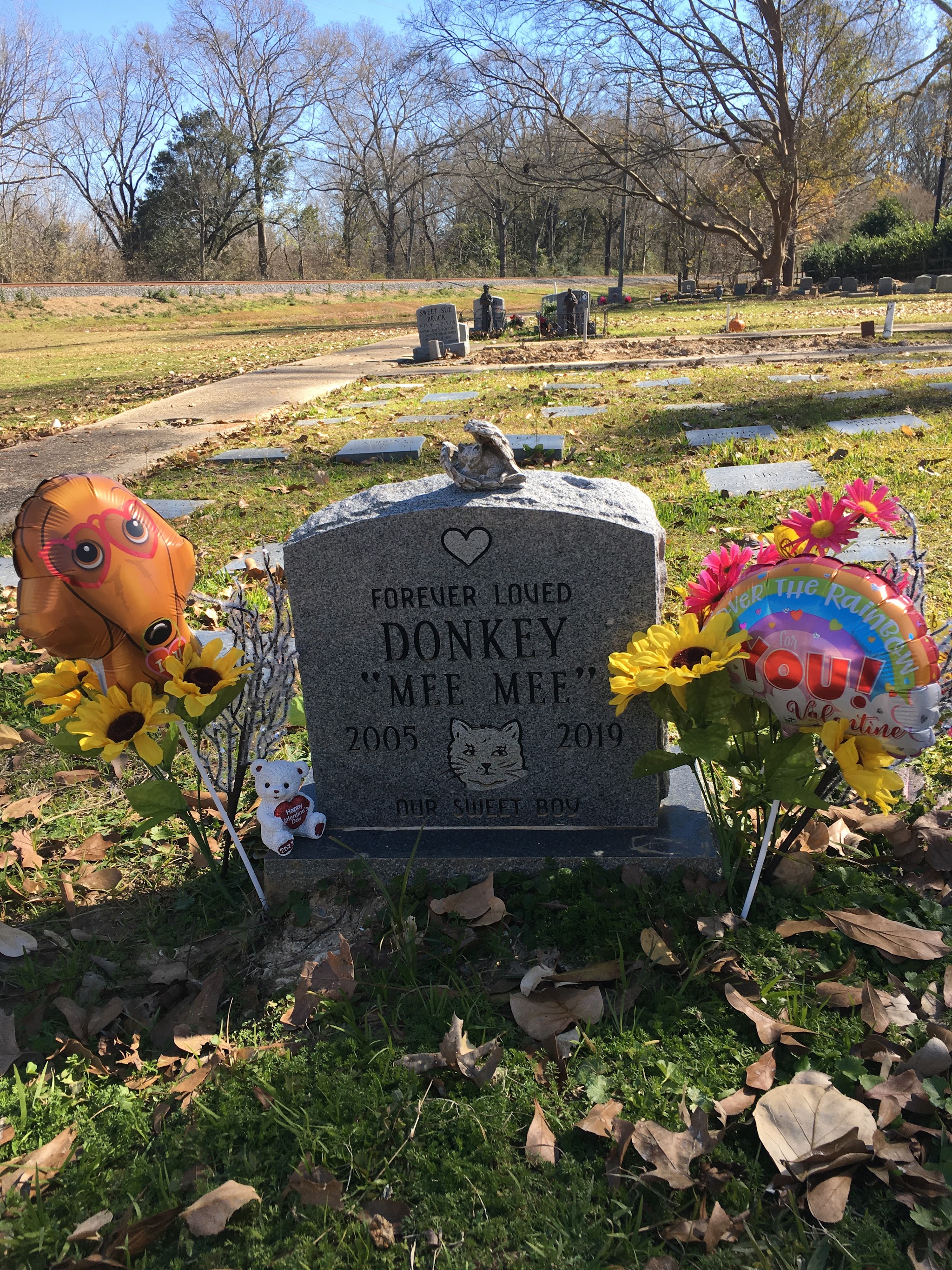 Pet Memorial Gardens - Main photo