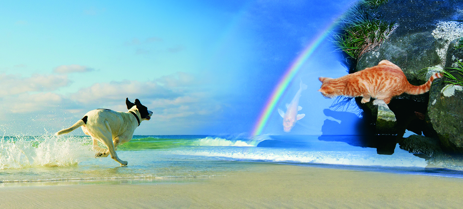 Pet Pilgrimage Crematory & Memorials - Main photo