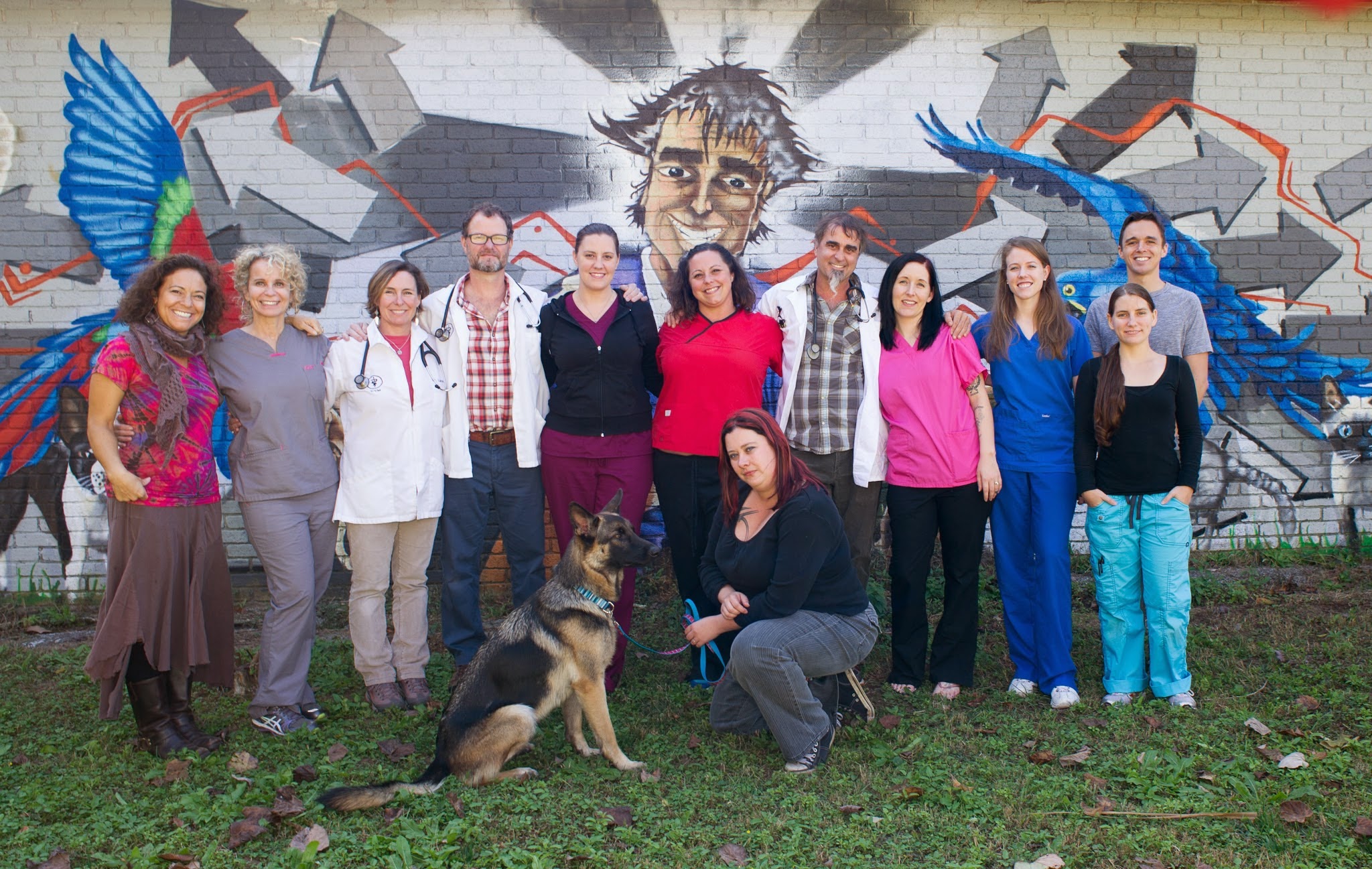 Pet Vet Animal Hospital - Main photo