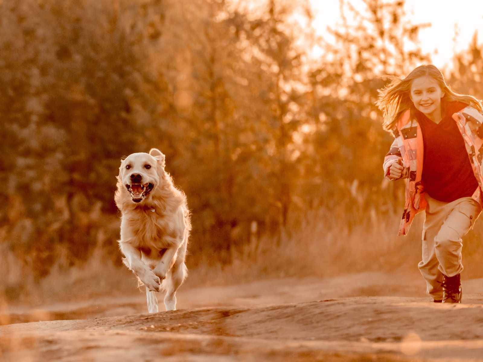 Precious Pets Cremation Services - Main photo