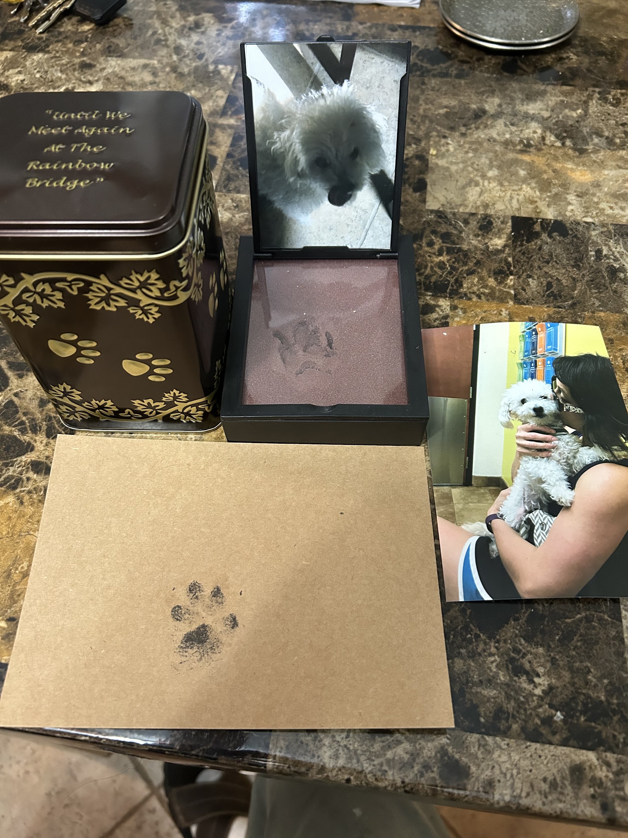 Precious Pets Crematory - Main photo