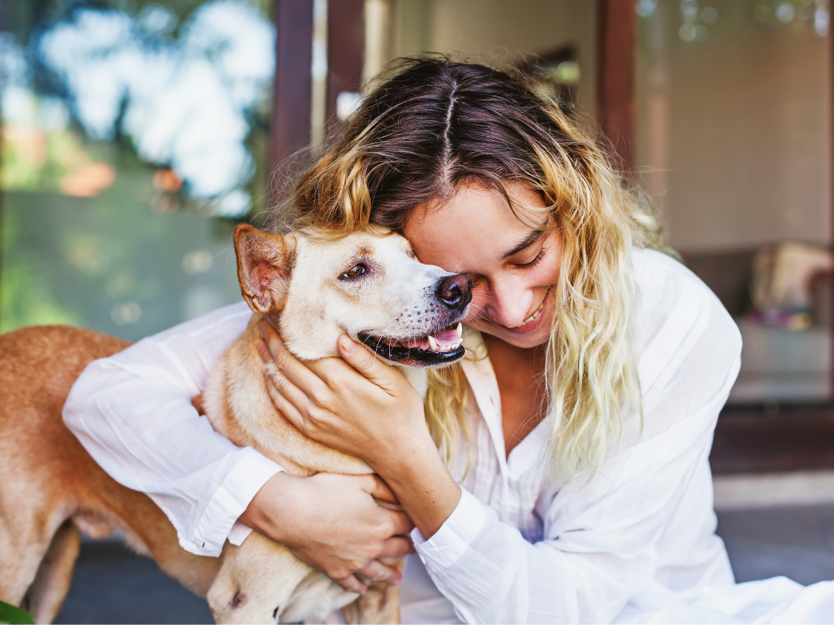 So Loved: Pet Cremation By Water - Aquamation: Chapel Hill & Mebane North Carolina - Main photo
